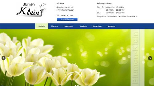 Blumen Klein Rockenhausen